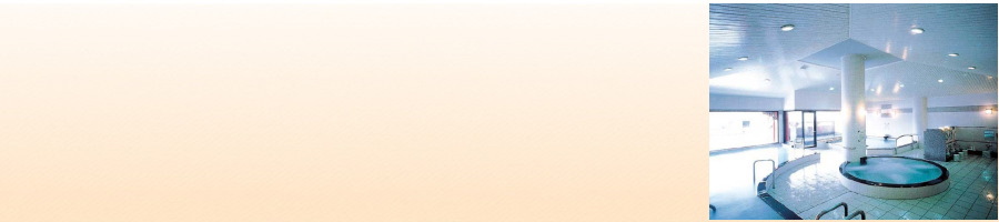 道の駅あいおい白龍城ペーロン温泉