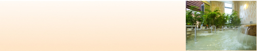 湯～モアリゾート太山寺温泉 なでしこの湯